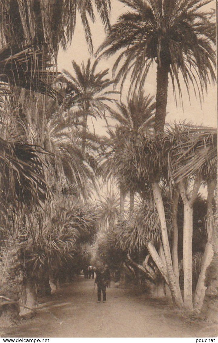 CE1 - ALGER  ( ALGERIE )- JARDIN D ' ESSAI - ALLEE DES JOUCAS  -   2 SCANS - Algiers