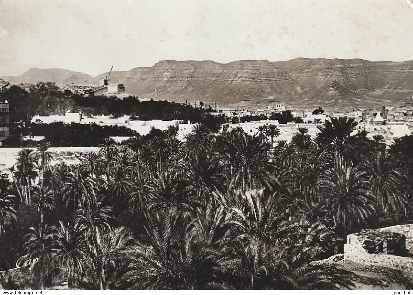 CE1 - BOU SAADA  ( ALGERIE ) - VUE GENERALE  -  2 SCANS - Autres & Non Classés