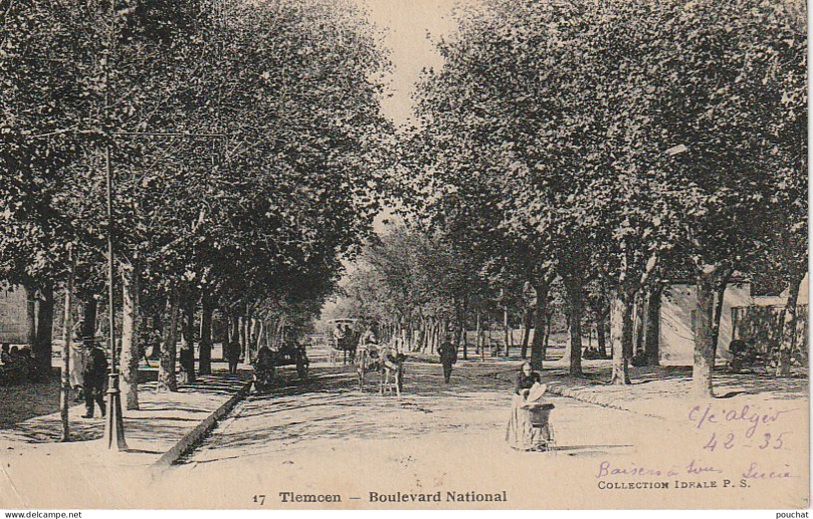 CE3 -TLEMCEN ( ALGERIE )-  BOULEVARD NATIONAL  - ANIMATION -  2 SCANS - Tlemcen