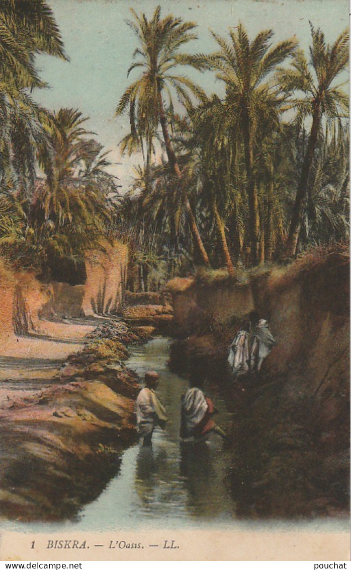 CE3 - BISKRA - L ' OASIS - ANIMATION - CARTE COLORISEE  - 2 SCANS - Biskra