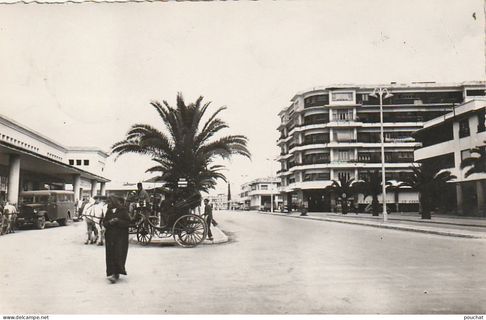 CE8  - MEKNES ( MAROC ) - AVENUE MEZERGUES   - ANIMATION - 2 SCANS - Meknès