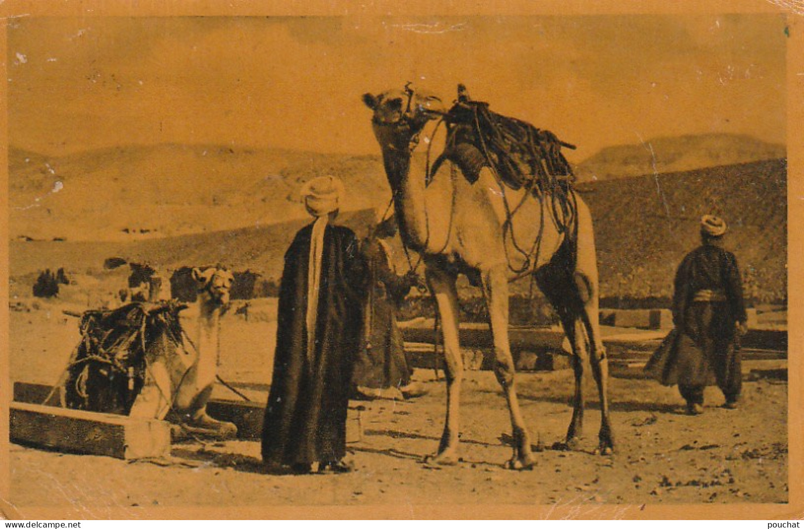 CE13 -  EGYPT - EGYPTE  - NATIVES AND CAMELS IN THE DESERT   -  BEDOUINS ET CHAMEAUX DANS LE DESERT -  2 SCANS - Afrika