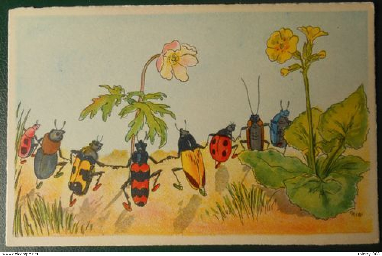 F41  Carte Postale  Insectes Dansant Dans Les Fleurs  Coccinelle - Insects