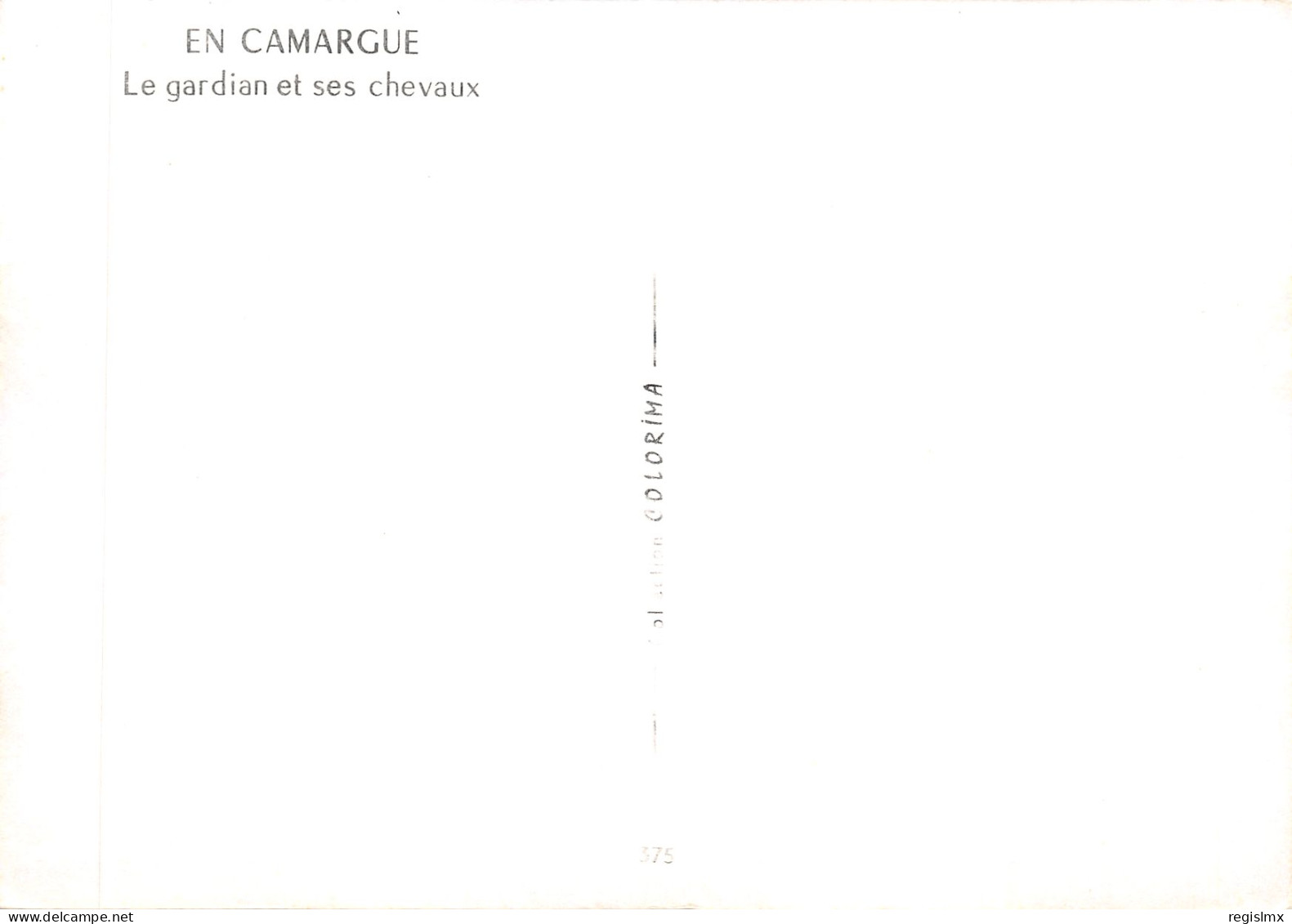 13-LA CAMARGUE-GARDIAN-N°539-C/0267 - Otros & Sin Clasificación
