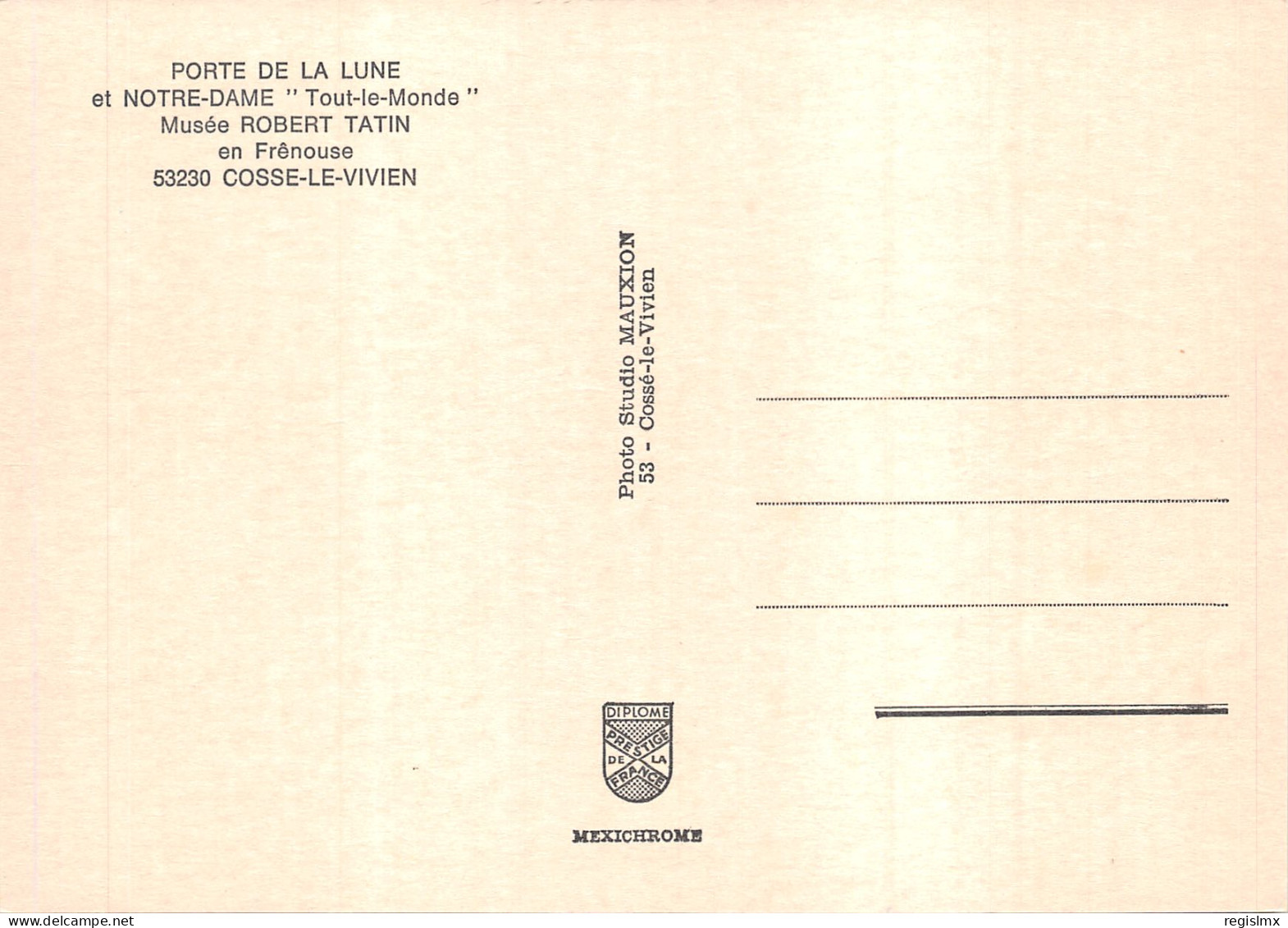 53-COSSE LE VIVIEN-MUSEE ROBERT TATIN-N°544-A/0247 - Other & Unclassified