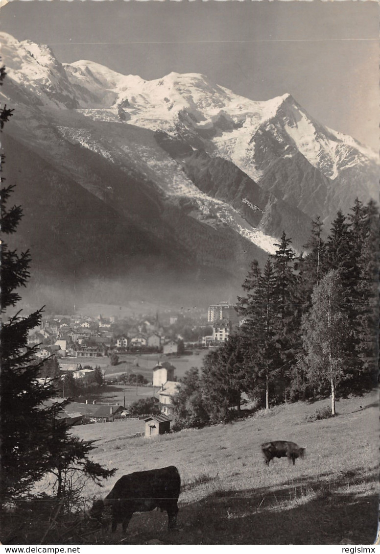 74-CHAMONIX-N°546-B/0293 - Chamonix-Mont-Blanc