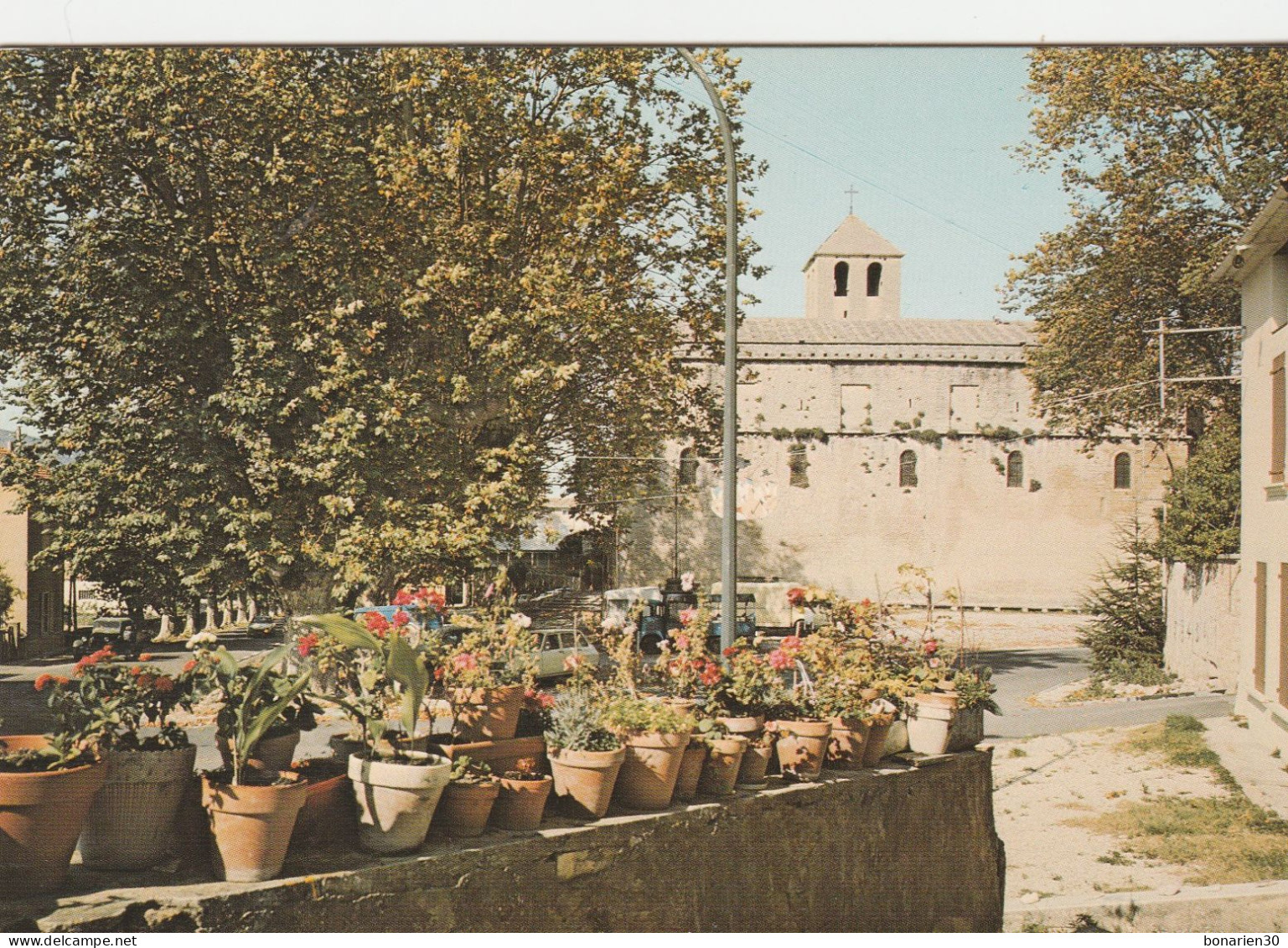 CPSM 84  MALAUCENE COIN FLEURI DEVANT L'EGLISE - Malaucene