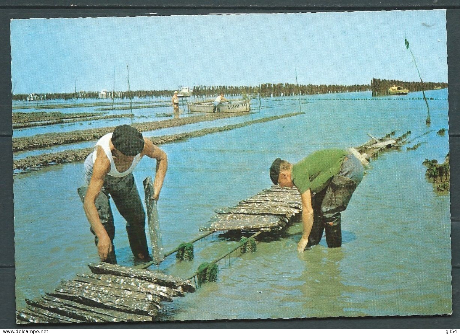 CPSM GF -  Côte Atlantique , Les Huitres Sur Ardoise  -   HAY 20036 - Fishing