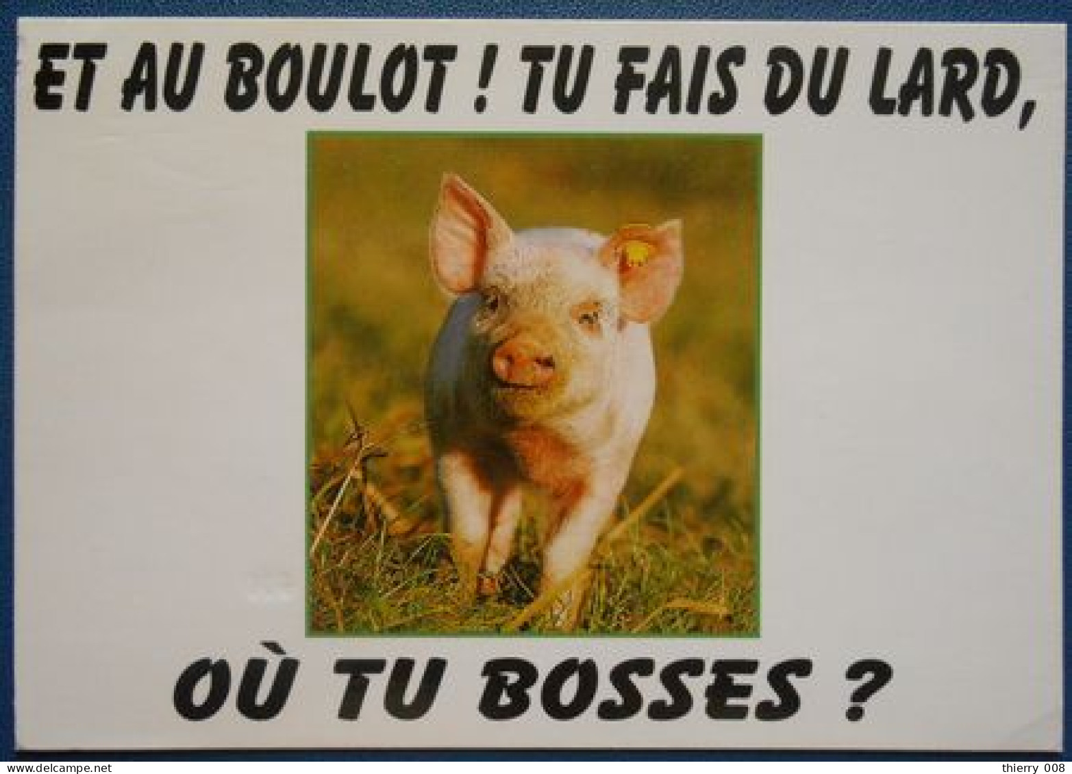 F16 Carte Postale Cochon Et Au Boulot ! Tu Fais Du Lard Où Tu Bosses . - Pigs