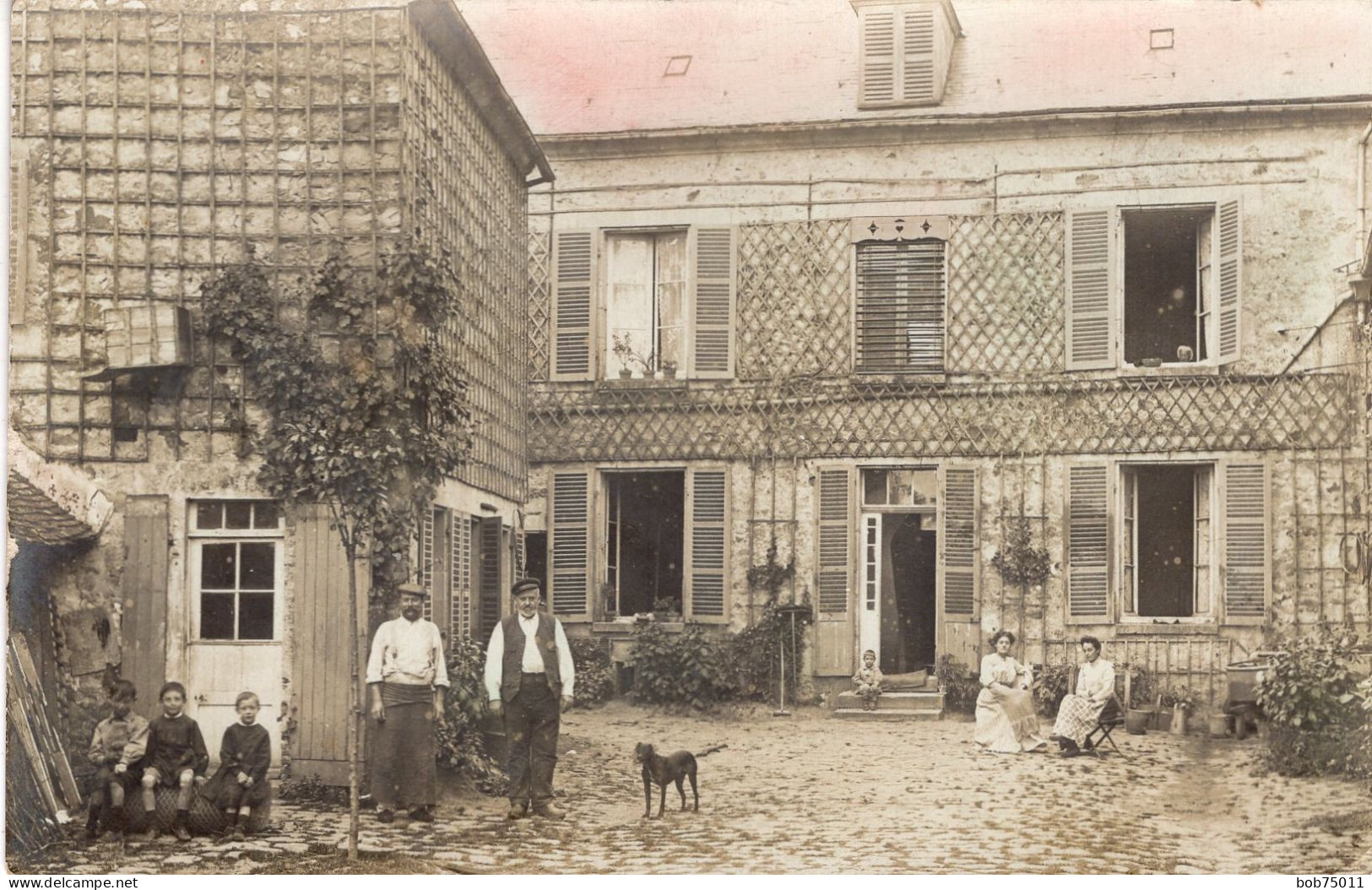 Carte Photo D'une Famille Avec Leurs Chiens Posant Dans La Cour De Leurs Grande Maison Vers 1910 - Personnes Anonymes