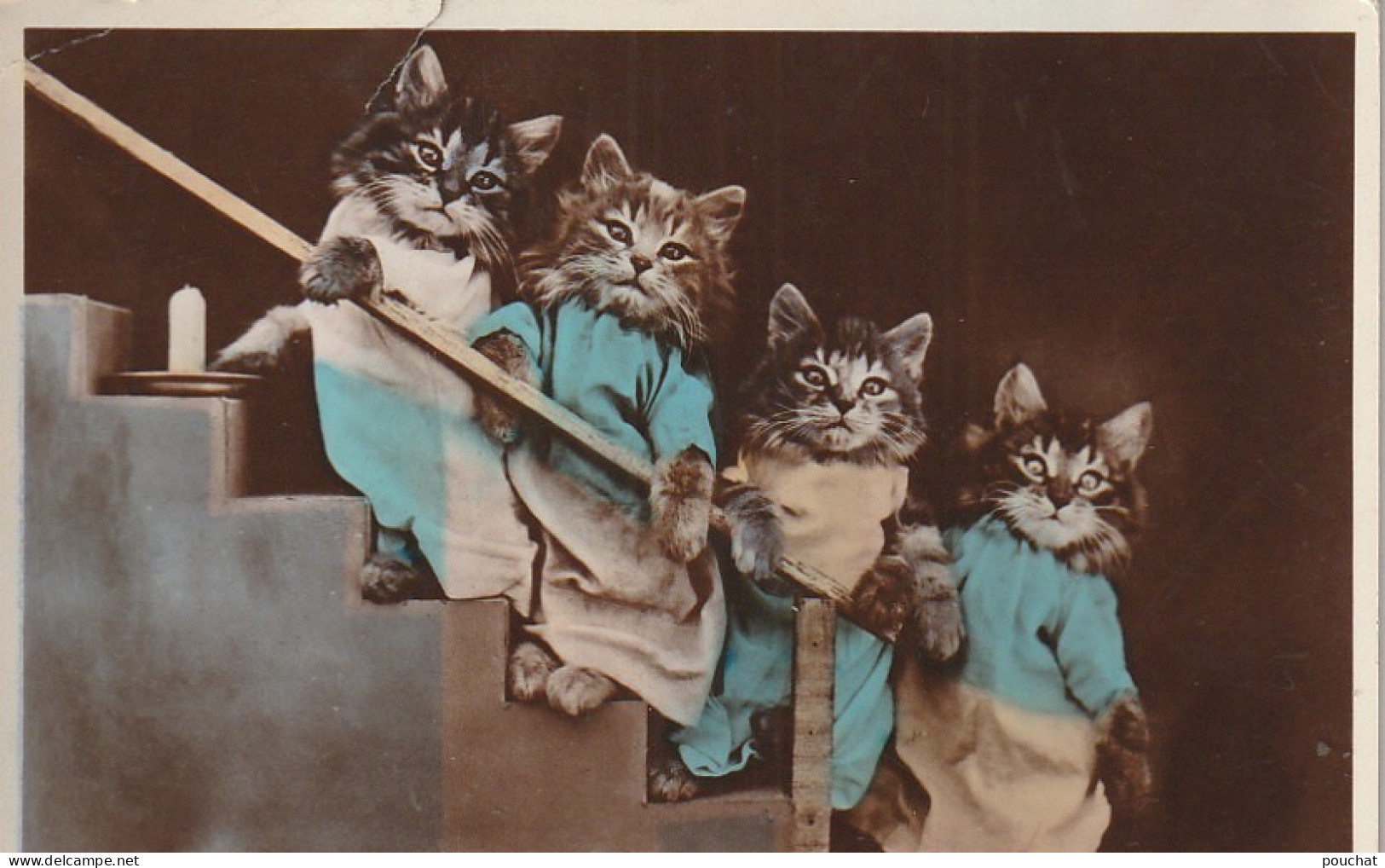 BE Nw1 - GROUPE CHATONS HUMANISES DANS L' ESCALIER AVEC BOUGIE - 2 SCANS - Cats