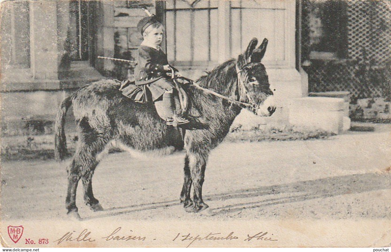 BE Nw1 - ENFANT A DOS D' ANE - 2 SCANS - Donkeys