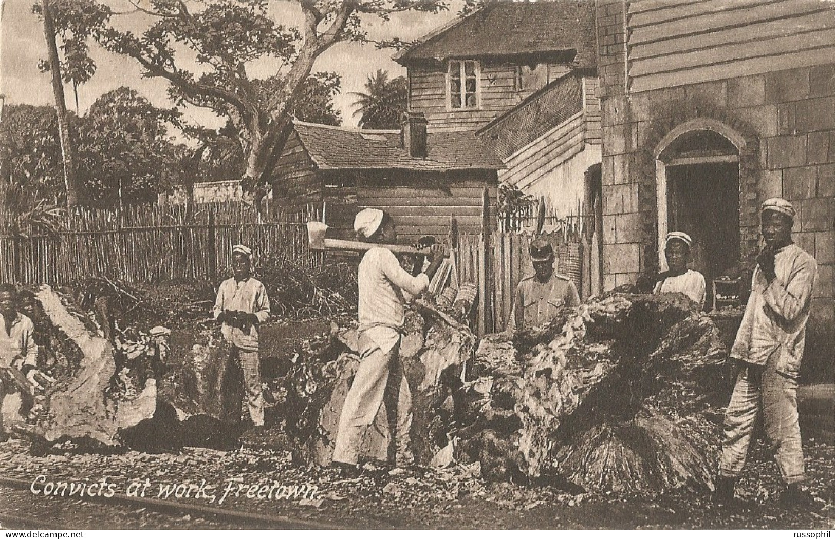 SIERRA LEONE - CONVICTS AT WORK, FREETOWN - 1908 - Sierra Leona