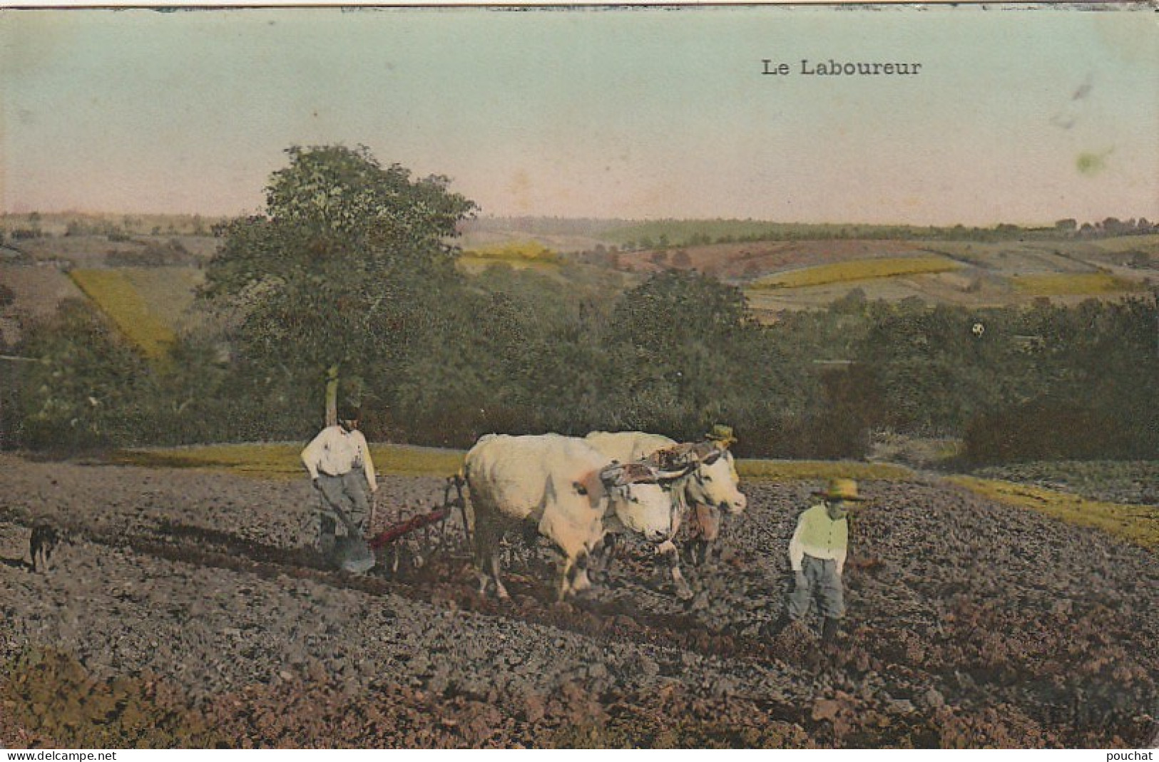 CE 29- LE LABOUREUR -  PAYSANS AVEC ATTELAGE DE BOEUFS - 2 SCANS - Landbouw