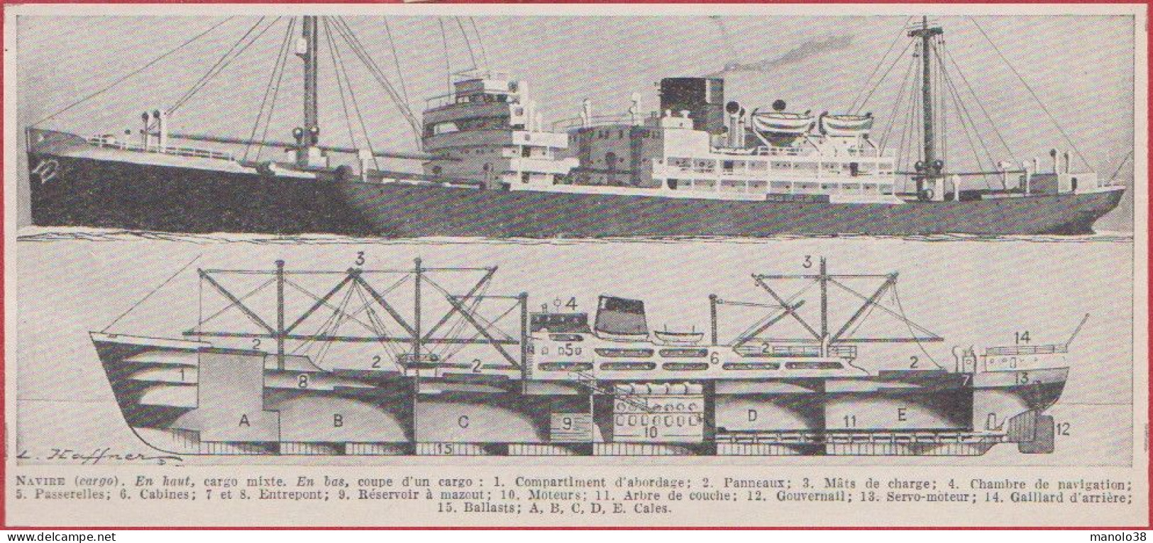 Navire Cargo. Cargo Mixte En Coupe. Illustration L Haffner, Peintre Officiel De La Marine. Larousse 1948. - Documentos Históricos