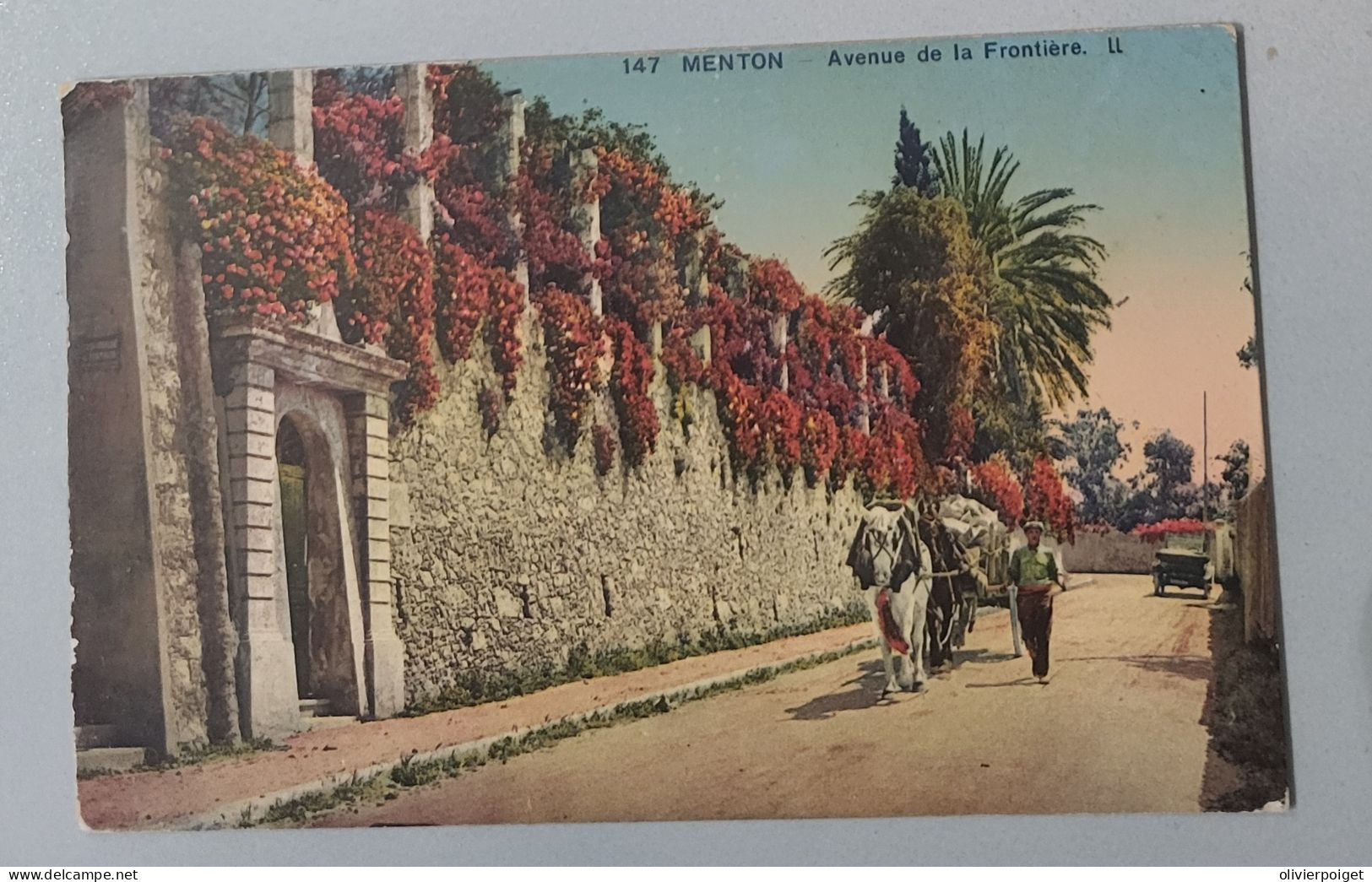 DPT 06 - Menton - Avenue De La Frontiére - Unclassified