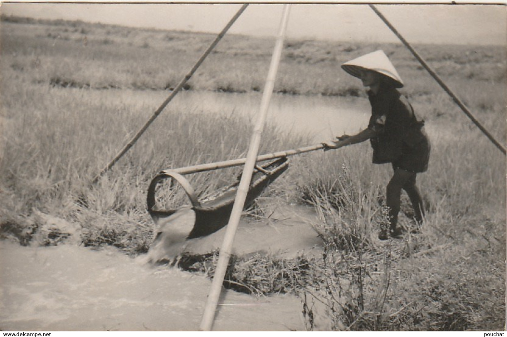 ALnw 18-( INDOCHINE ) TRAVAIL DANS LA RIZIERE - CARTE PHOTO -  2 SCANS - Viêt-Nam