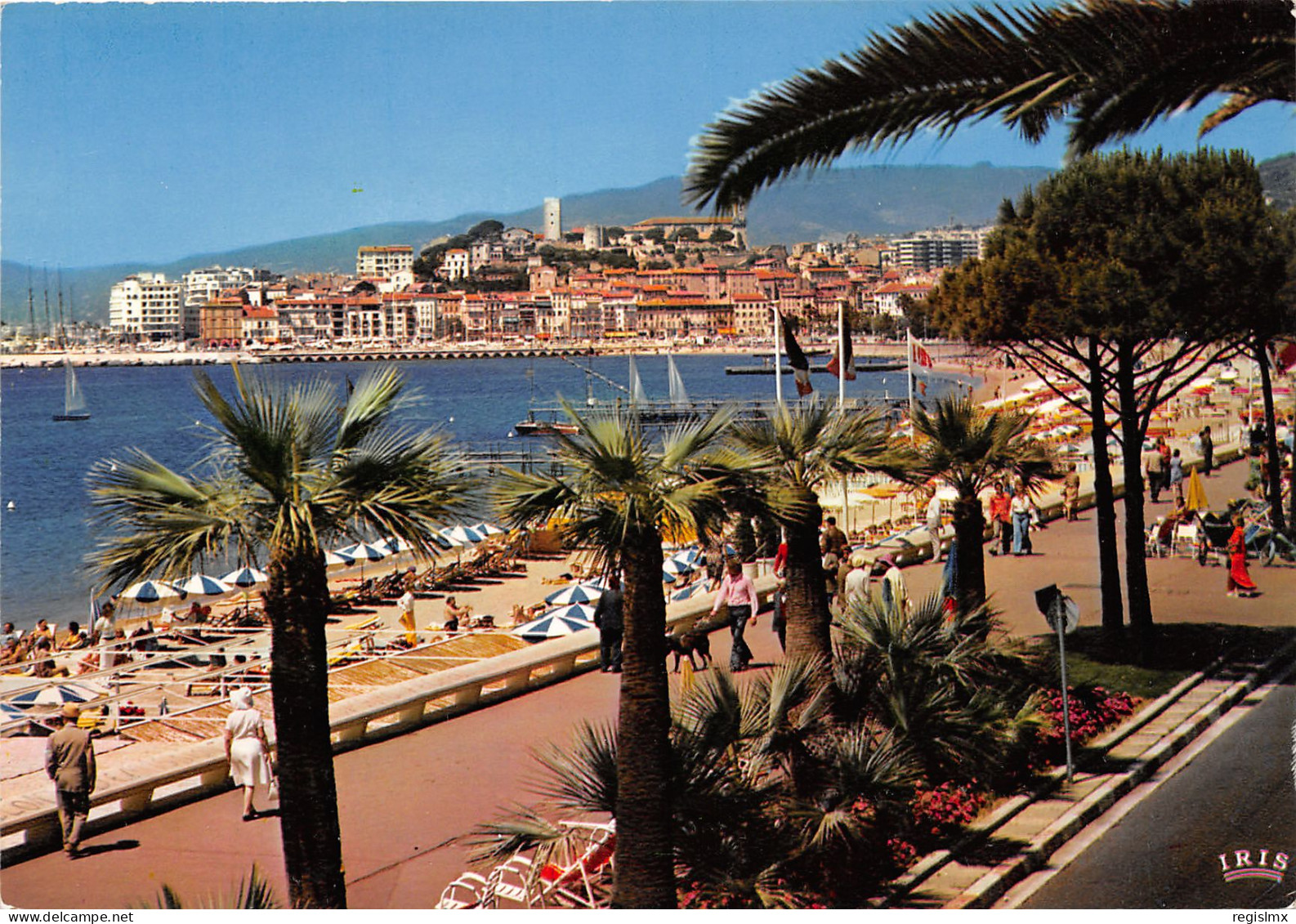 06-CANNES-N°1003-C/0271 - Cannes
