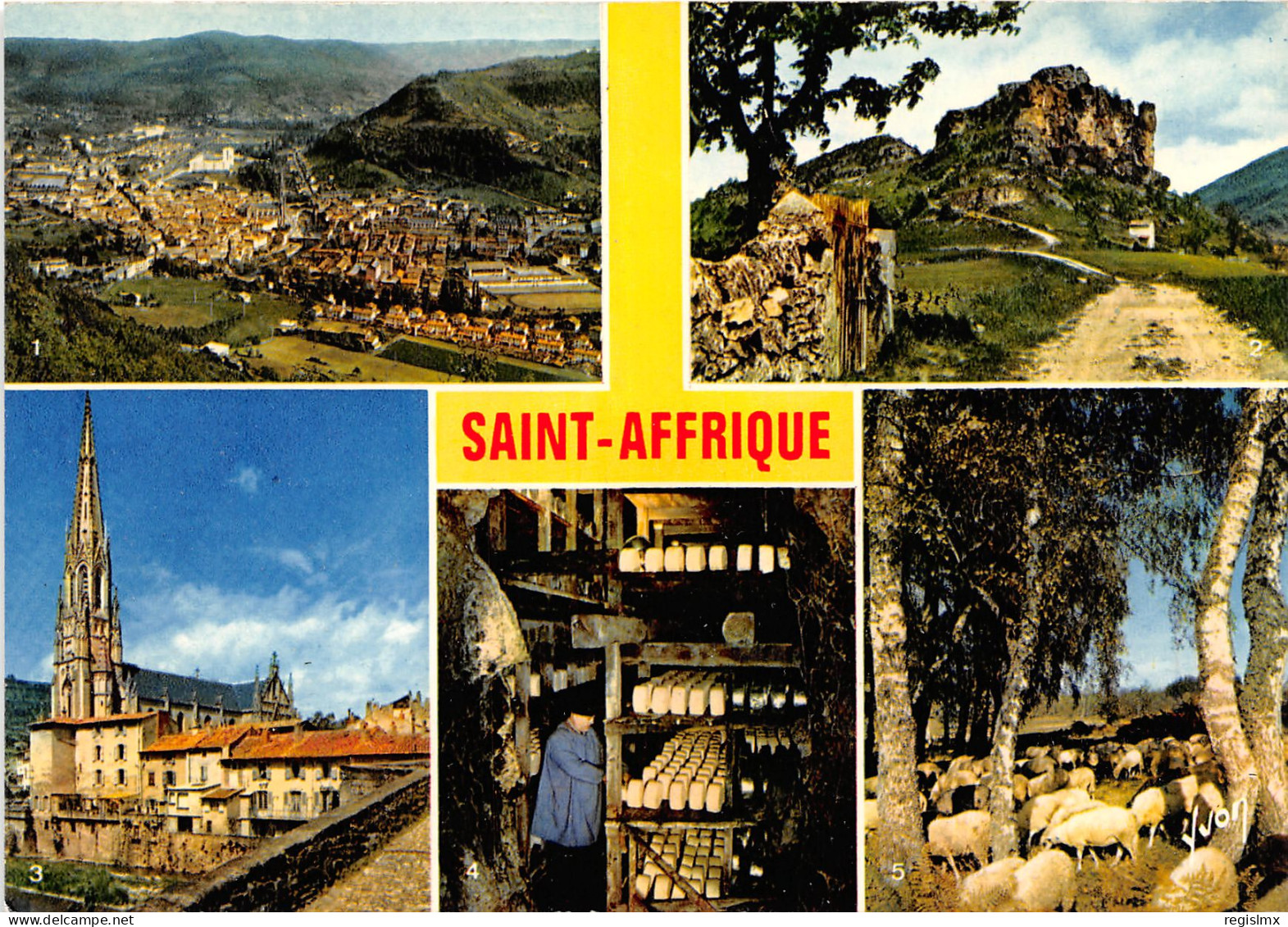 12-SAINT AFFRIQUE-N°1005-B/0269 - Saint Affrique