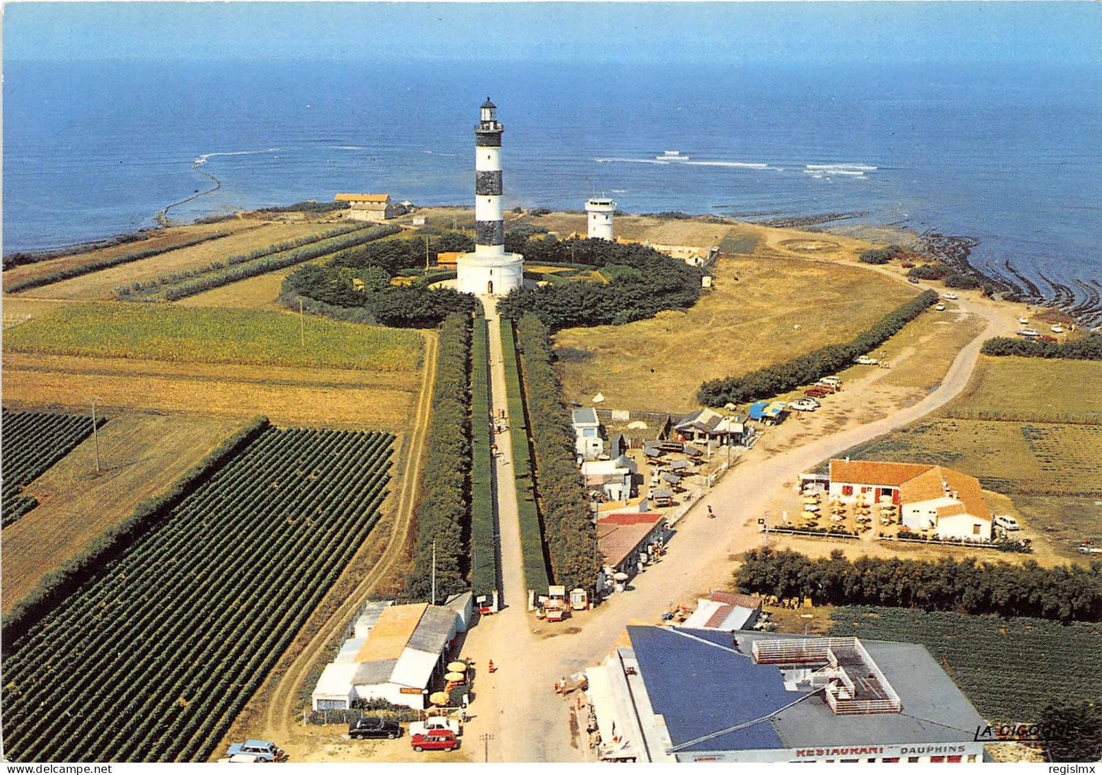17-PHARE DE CHASSIRON-N°1008-D/0231 - Other & Unclassified
