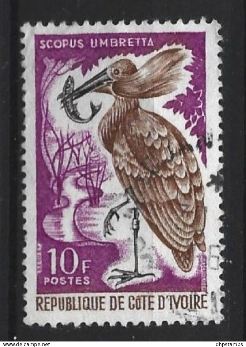 Cote D'Ivoire 1965 Bird  Y.T.. 238 (0) - Costa De Marfil (1960-...)