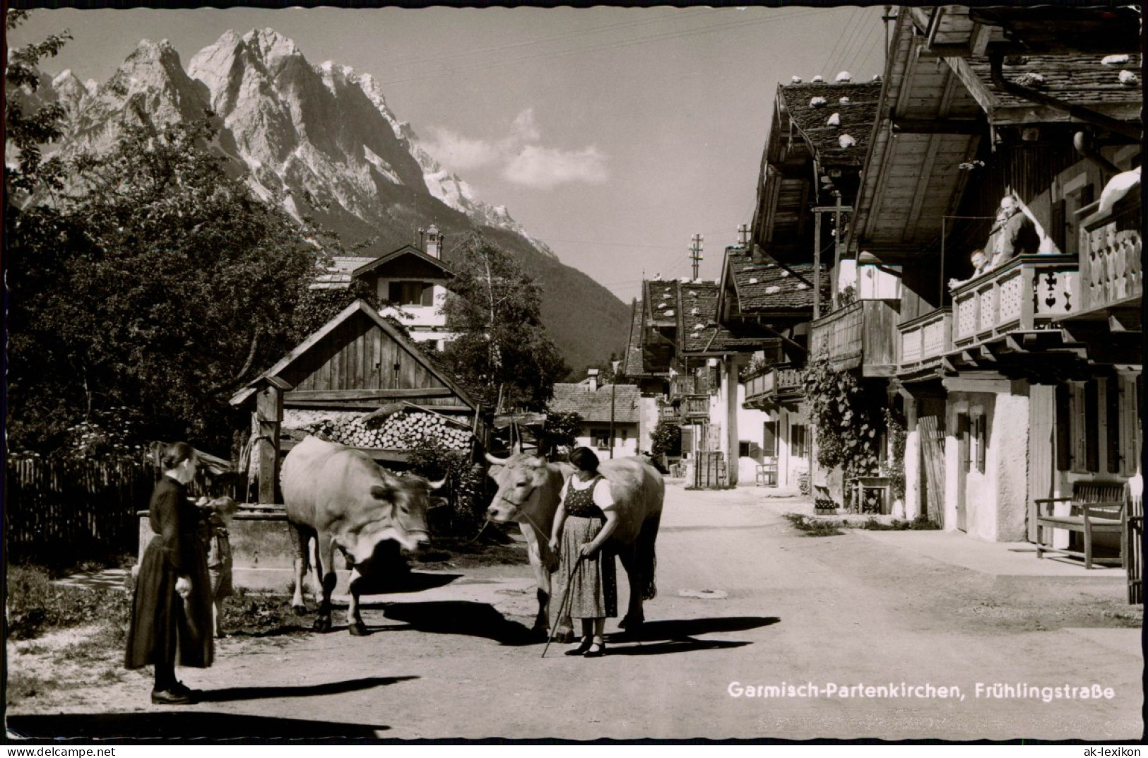 Garmisch-Partenkirchen Frühlingstrasse, Bäuerinnen Mit Kühen 1957 - Garmisch-Partenkirchen