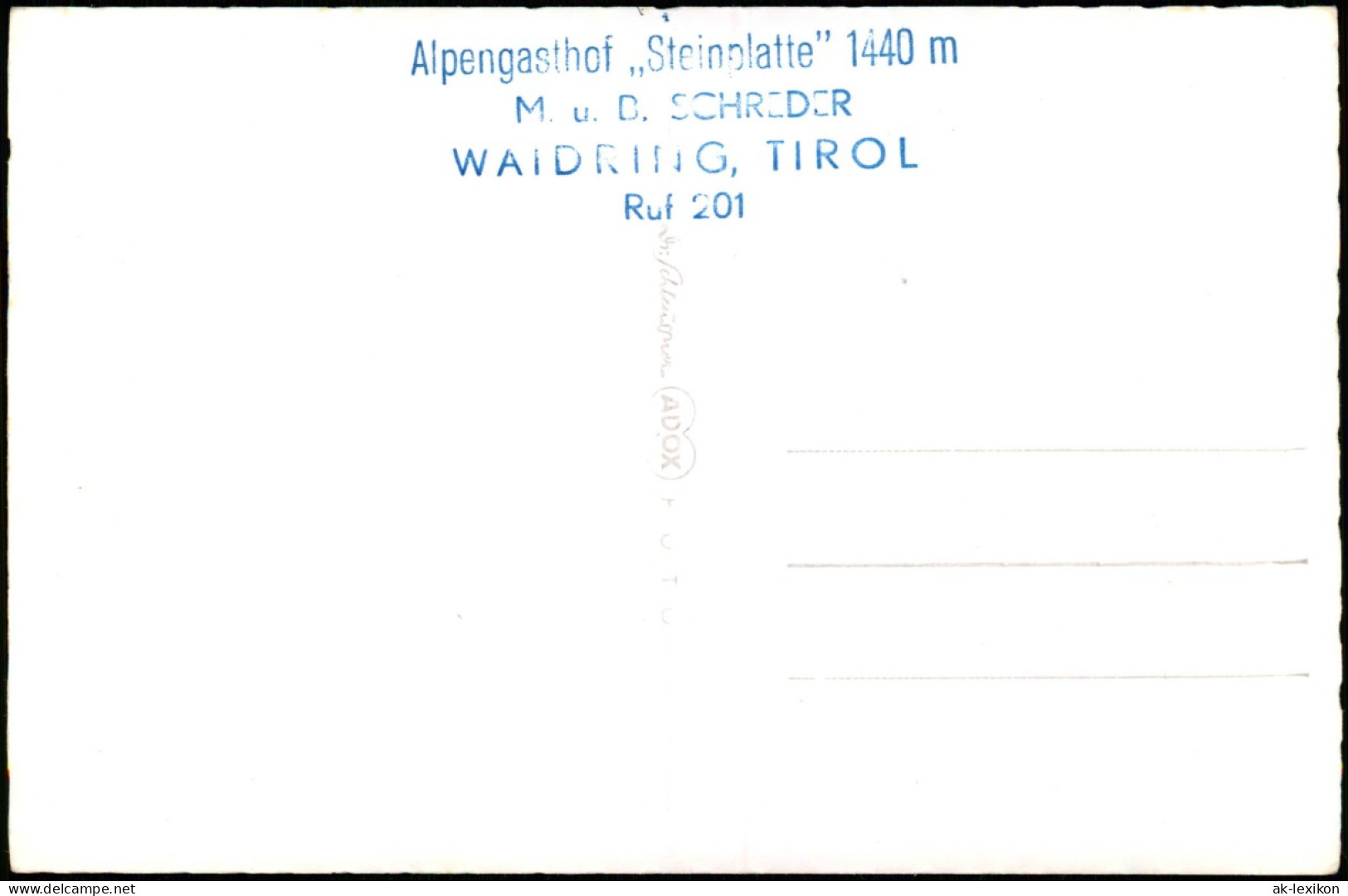 Waidring In Tirol Alpengasthof Steinplatte 1440 M - Fotokarte 1959 - Sonstige & Ohne Zuordnung