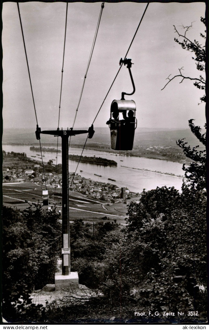 Ansichtskarte Rüdesheim (Rhein) Seilbahn Ins Tal - Fotokarte 1960 - Ruedesheim A. Rh.