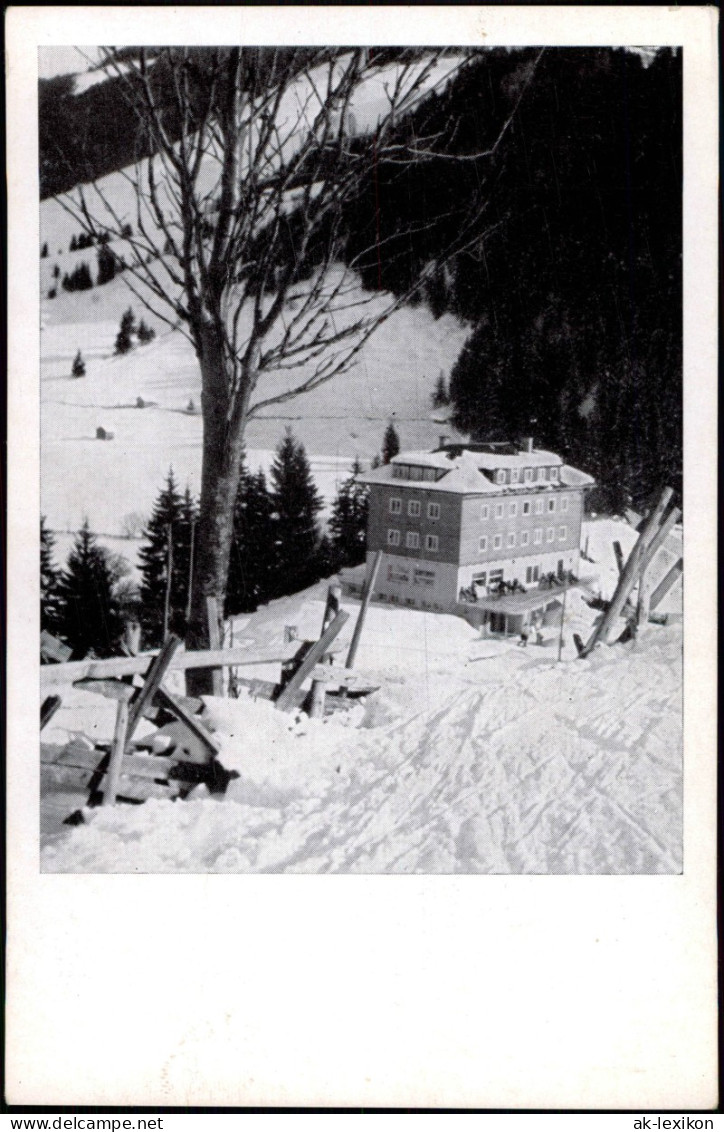 Ansichtskarte Saalbach-Hinterglemm Dr.-Karl-Renner-Haus, Saalbach 1965 - Other & Unclassified