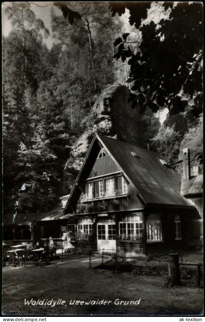 Ansichtskarte Wehlen Haus Waldidylle 1966 - Wehlen