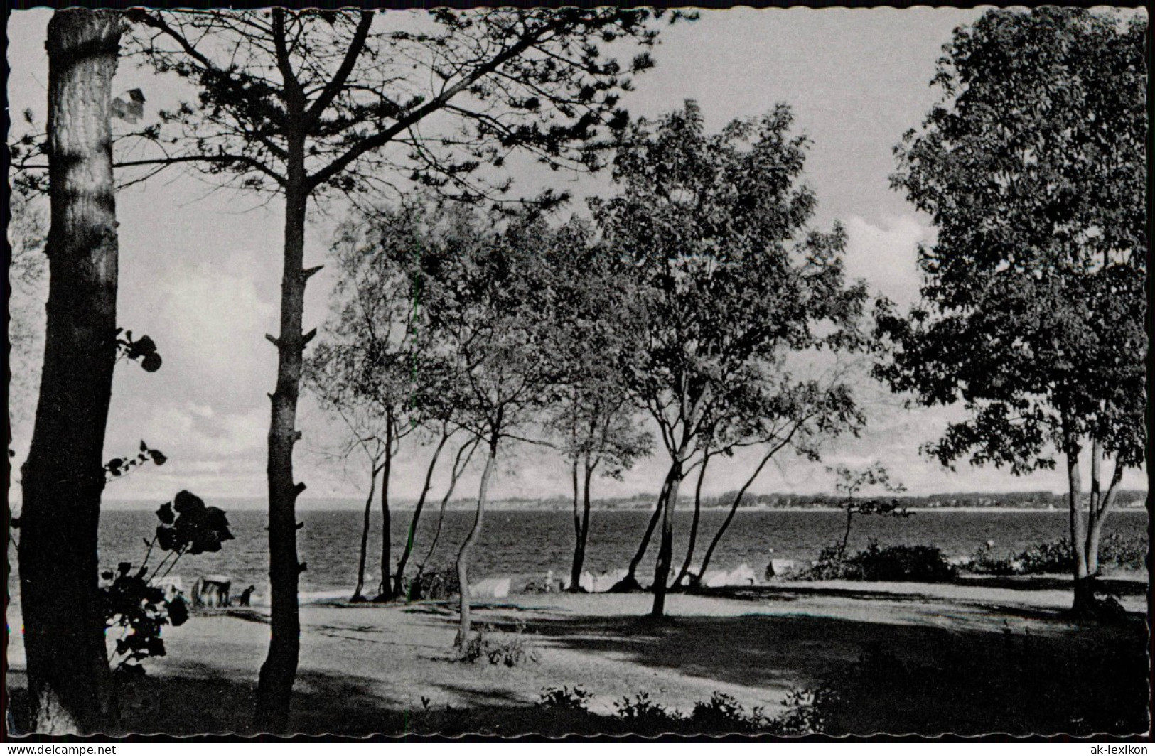 Ansichtskarte Timmendorfer Strand Strand Blick Zur Ostsee 1955 - Andere & Zonder Classificatie