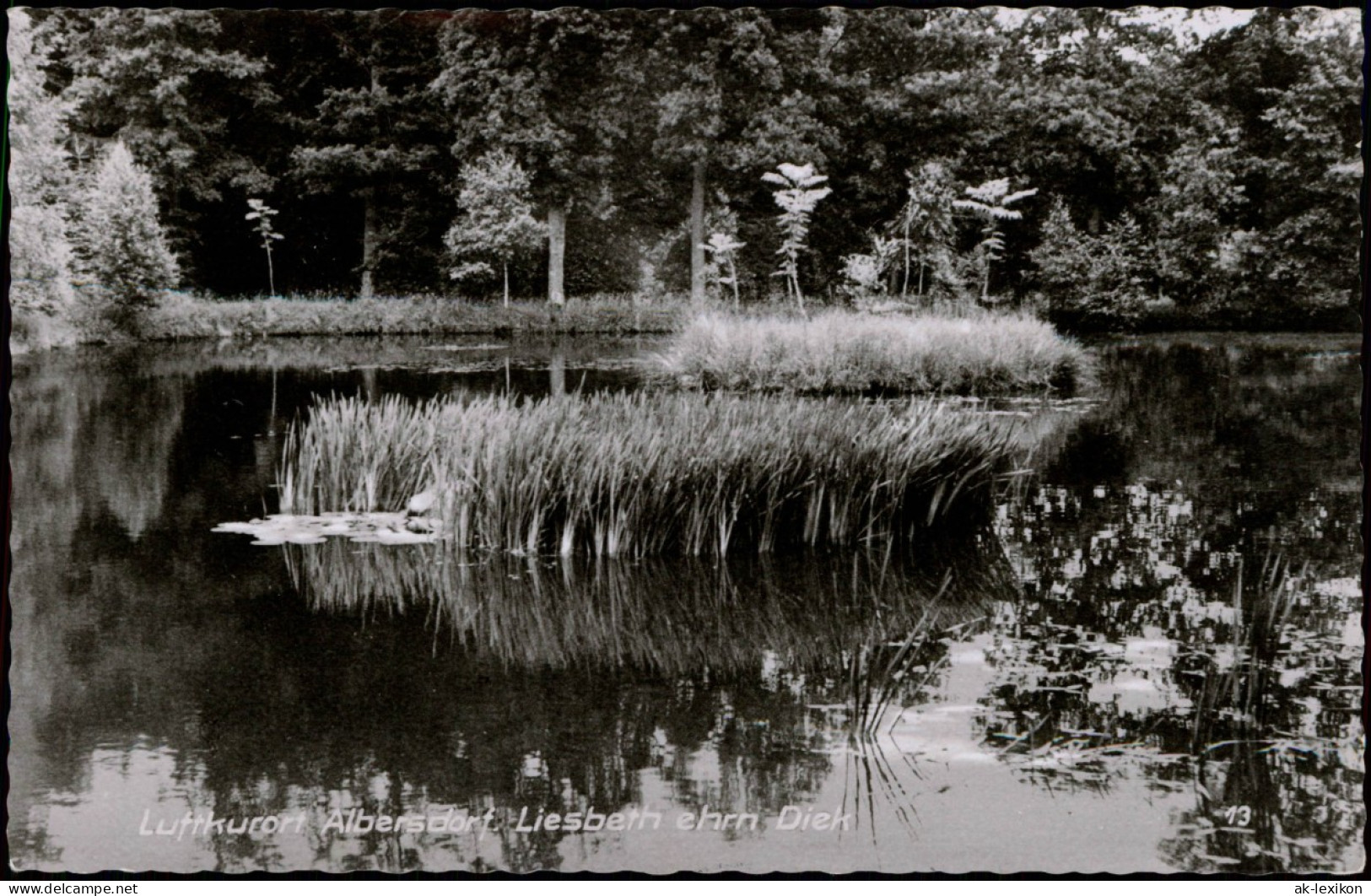 Ansichtskarte Albersdorf (Holstein) Liesbeth Ehrn Diek 1963 - Autres & Non Classés