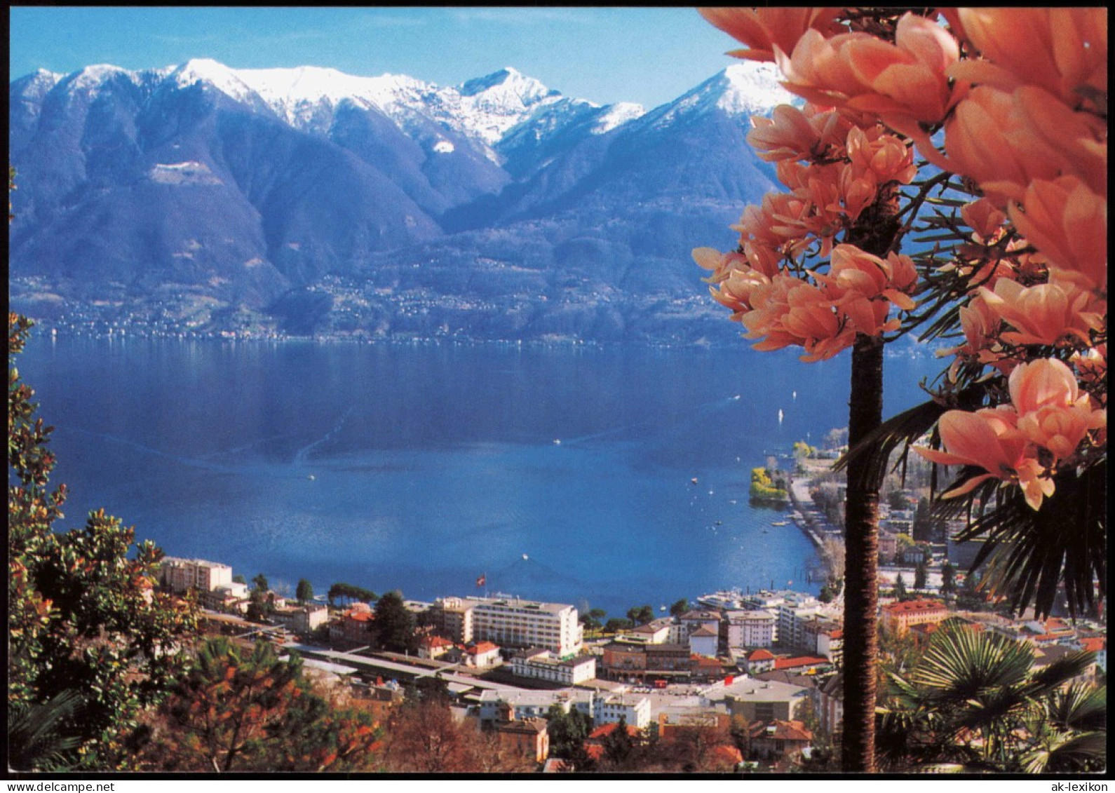 Ansichtskarte Locarno LOCARNO MURALTO Lago Maggiore See-Panorama 2000 - Otros & Sin Clasificación