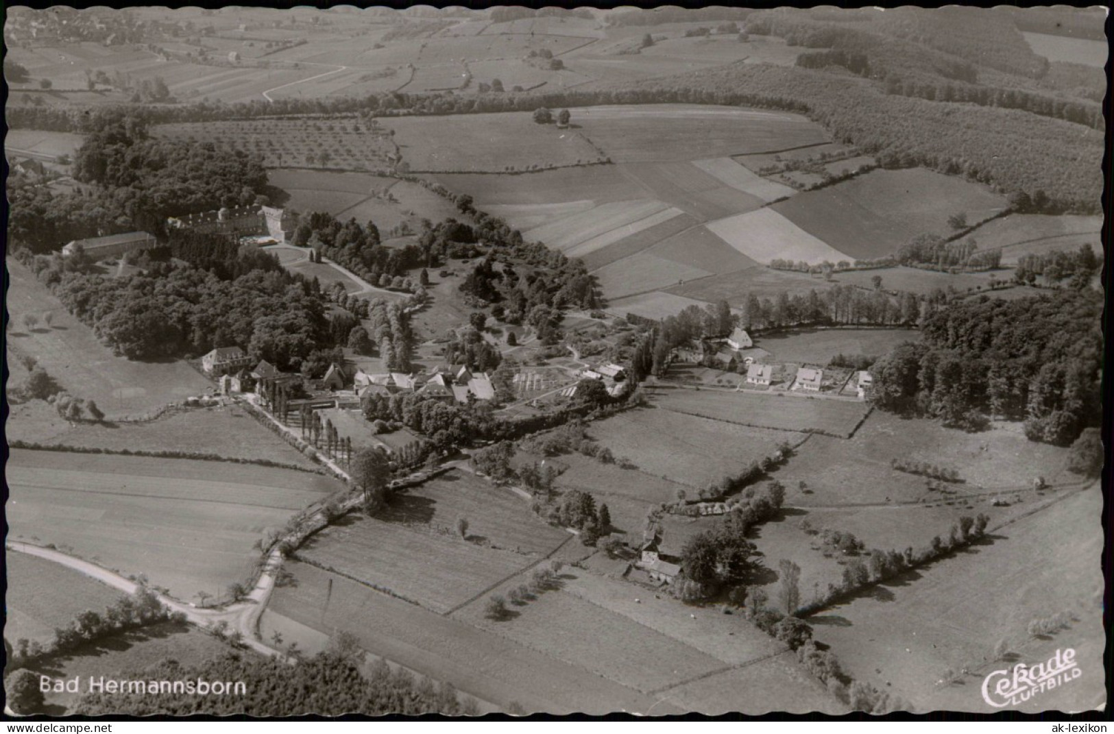 Ansichtskarte Bad Hermannsborn-Bad Driburg Luftbild Fliegeraufnahme 1957 - Bad Driburg