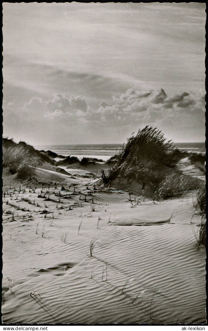 Ansichtskarte Juist Dünen Und Meer - Fotokarte 1958 - Juist