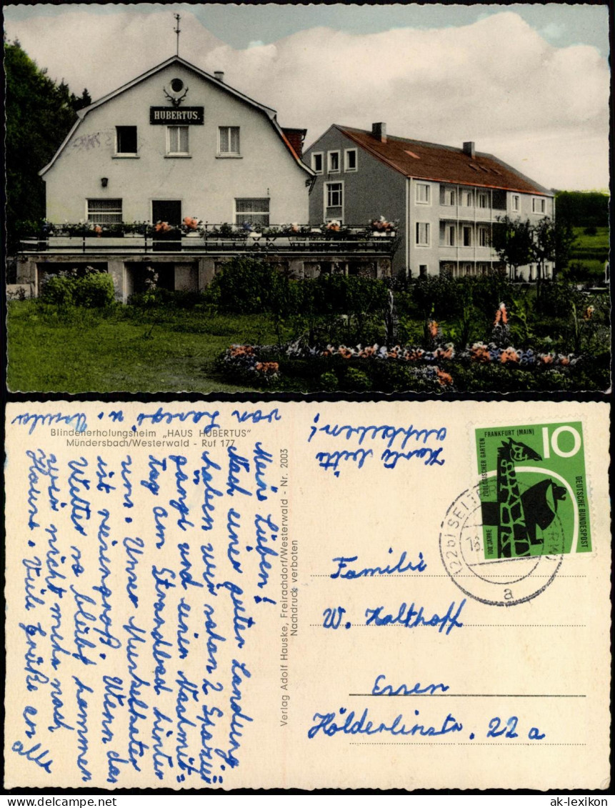 Ansichtskarte Mündersbach Haus Hubertus - Frontalansicht 1961 - Otros & Sin Clasificación