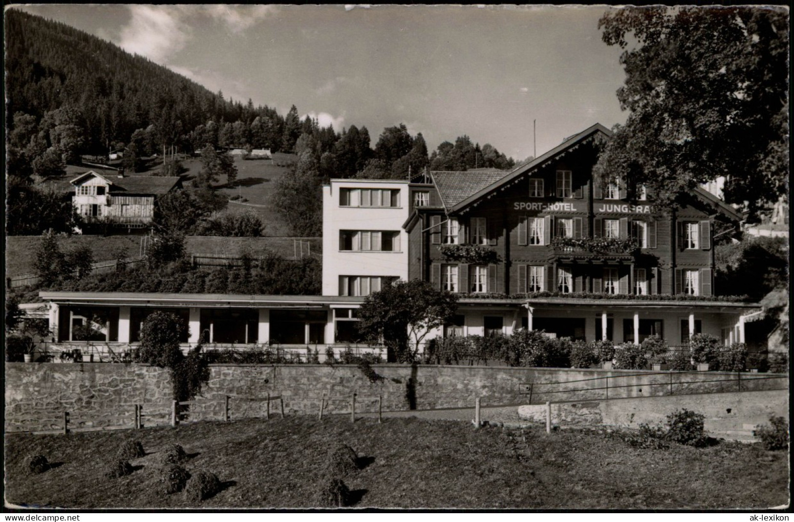 Ansichtskarte Grindelwald Sport Hotel Jungfrau - Fotokarte 1954 - Autres & Non Classés