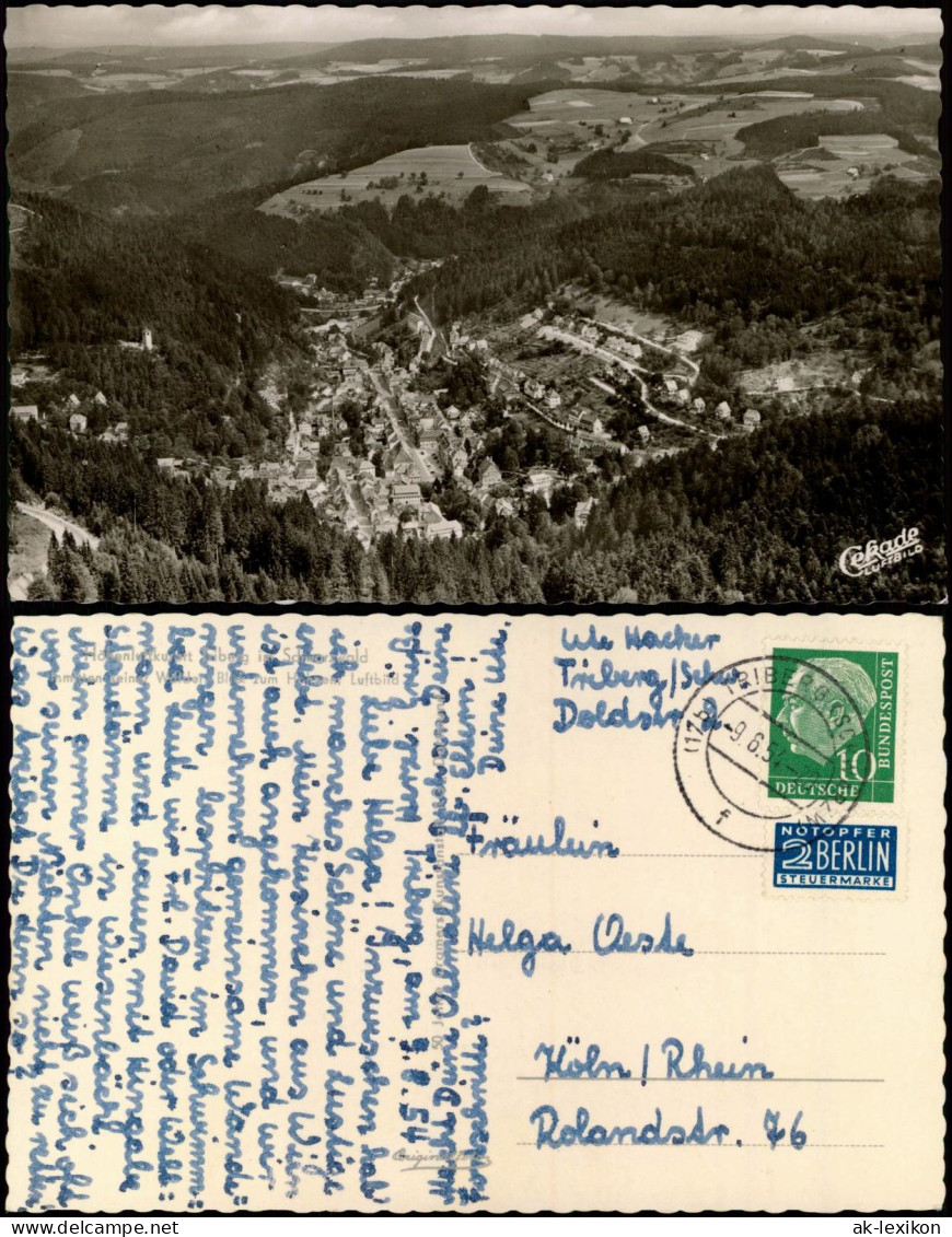 Ansichtskarte Triberg Schwarzwald Luftbild 1954 Gel Notopfer Berlin Heus 10 Pfg - Triberg