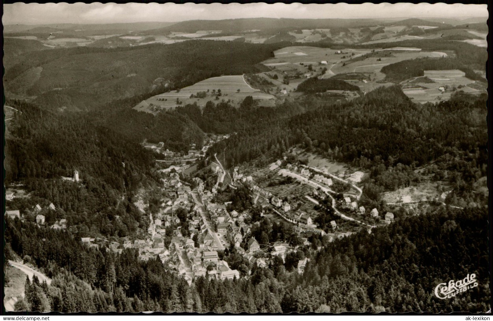 Ansichtskarte Triberg Schwarzwald Luftbild 1954 Gel Notopfer Berlin Heus 10 Pfg - Triberg