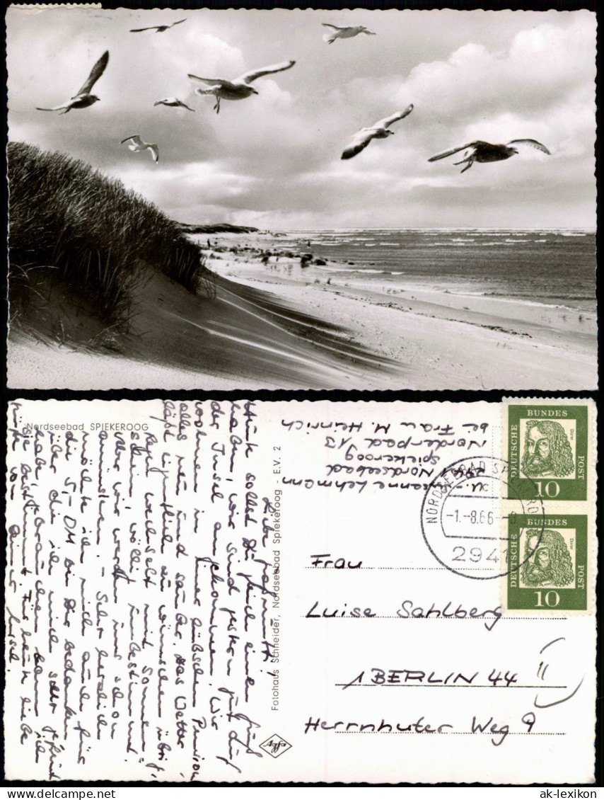 Ansichtskarte Spiekeroog Strand Möven Nordsee 1966 - Other & Unclassified