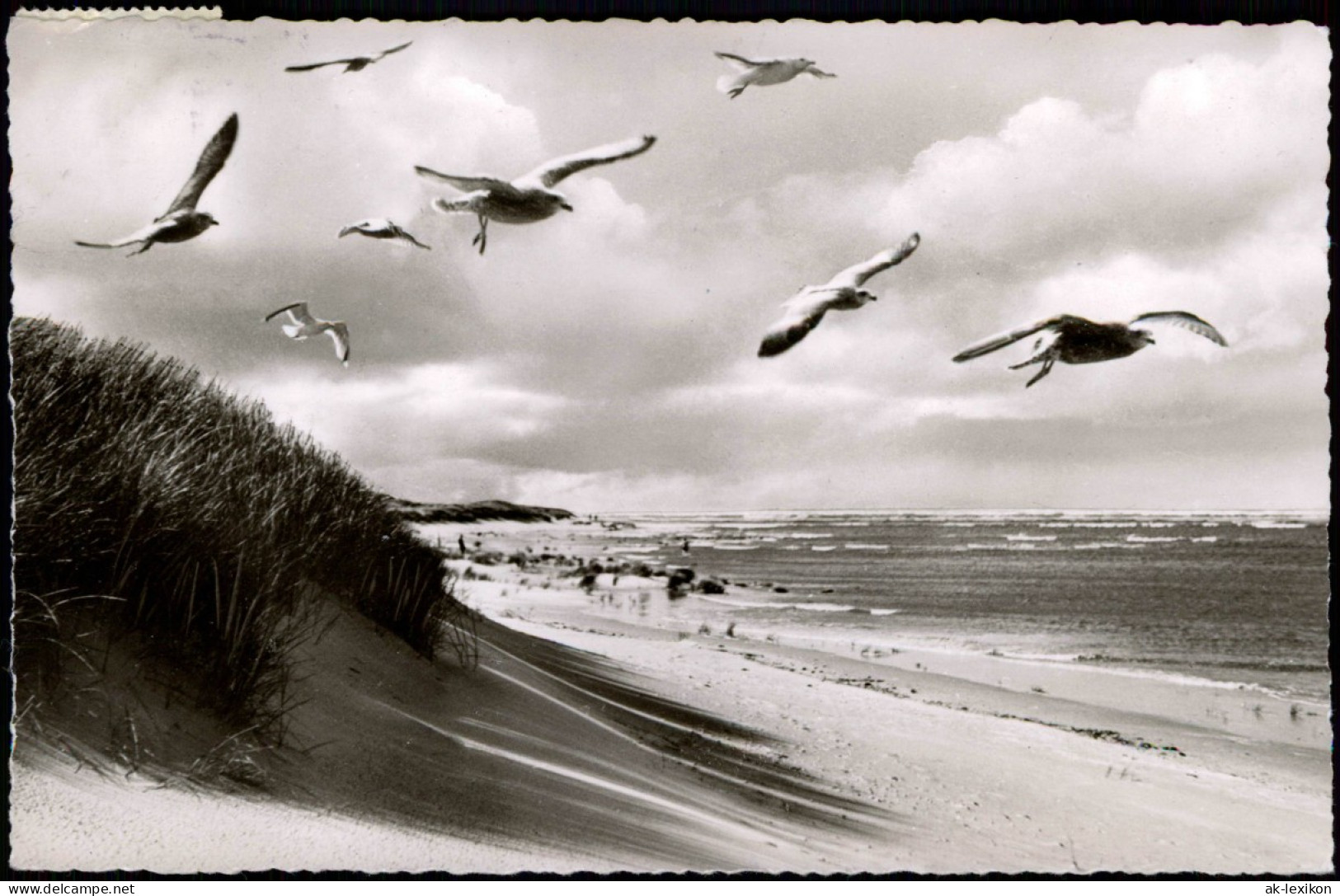 Ansichtskarte Spiekeroog Strand Möven Nordsee 1966 - Autres & Non Classés