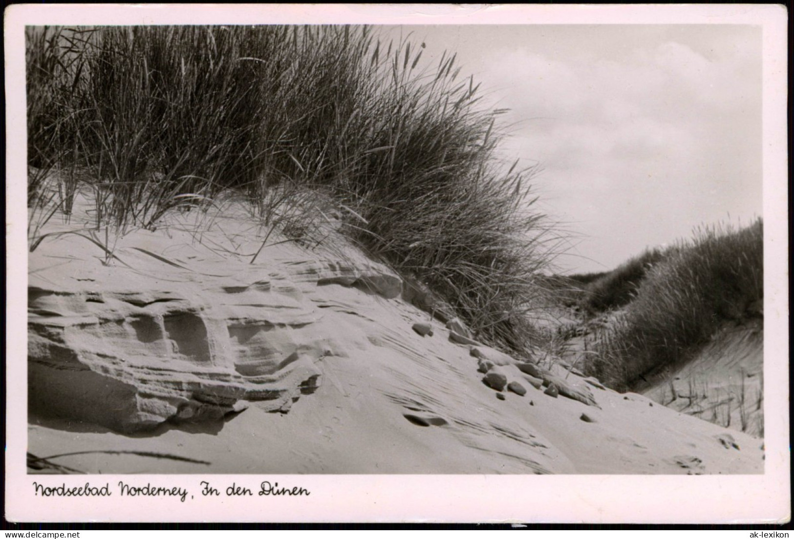 Ansichtskarte Norderney Nordseebad Nordsee Strand In Den Dünen 1956 - Norderney