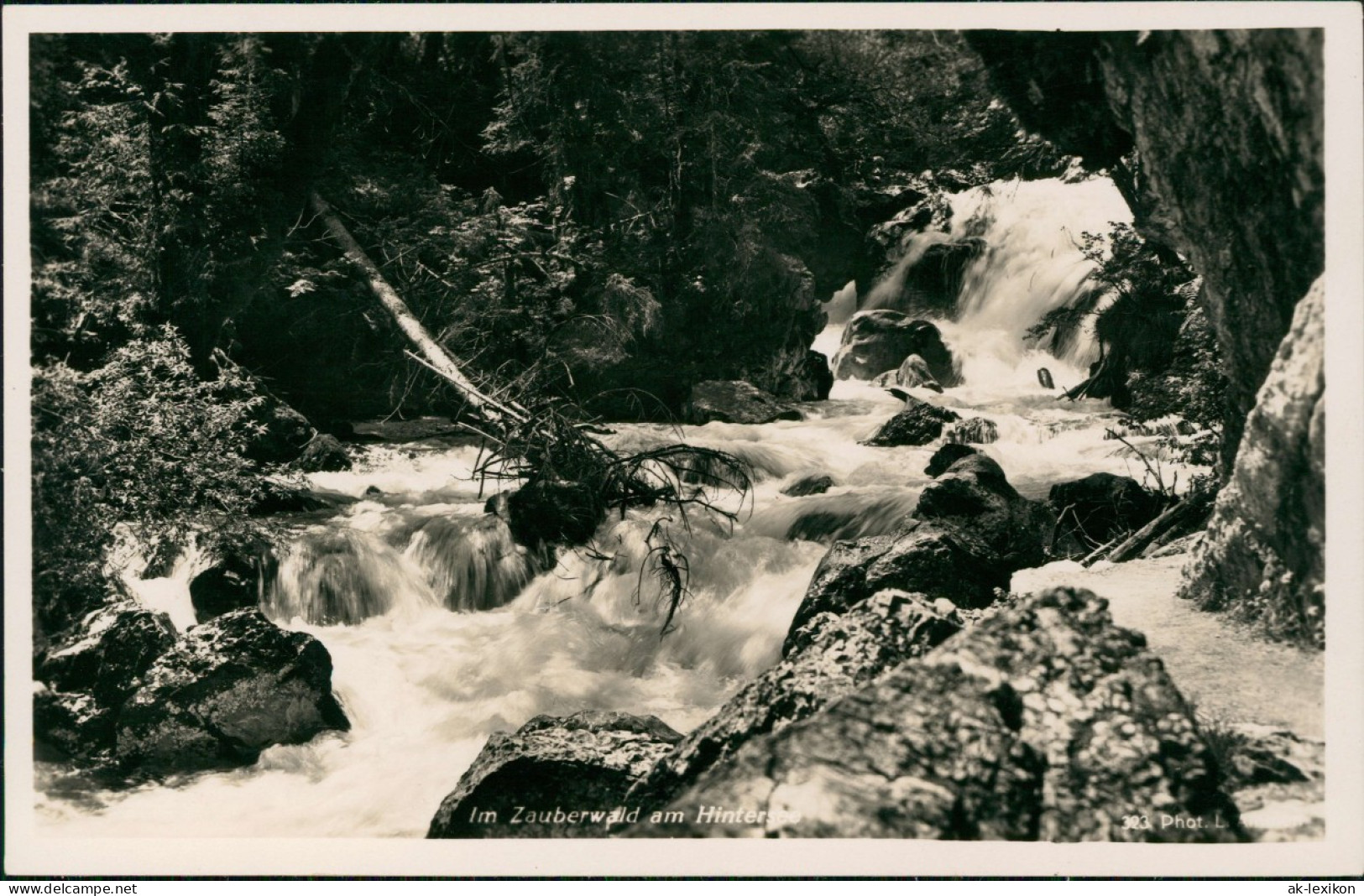 Ansichtskarte Ramsau Bei Berchtesgaden Im Zauberwald 1961 - Autres & Non Classés