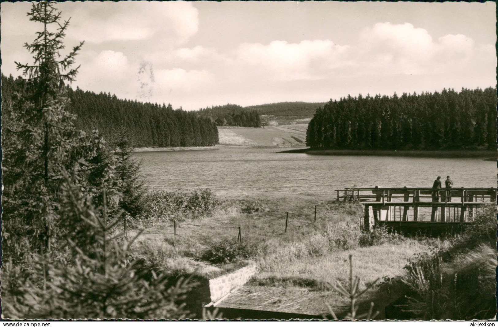 Ansichtskarte Buntenbock Partie Am Prinzenteich 1963 - Sonstige & Ohne Zuordnung