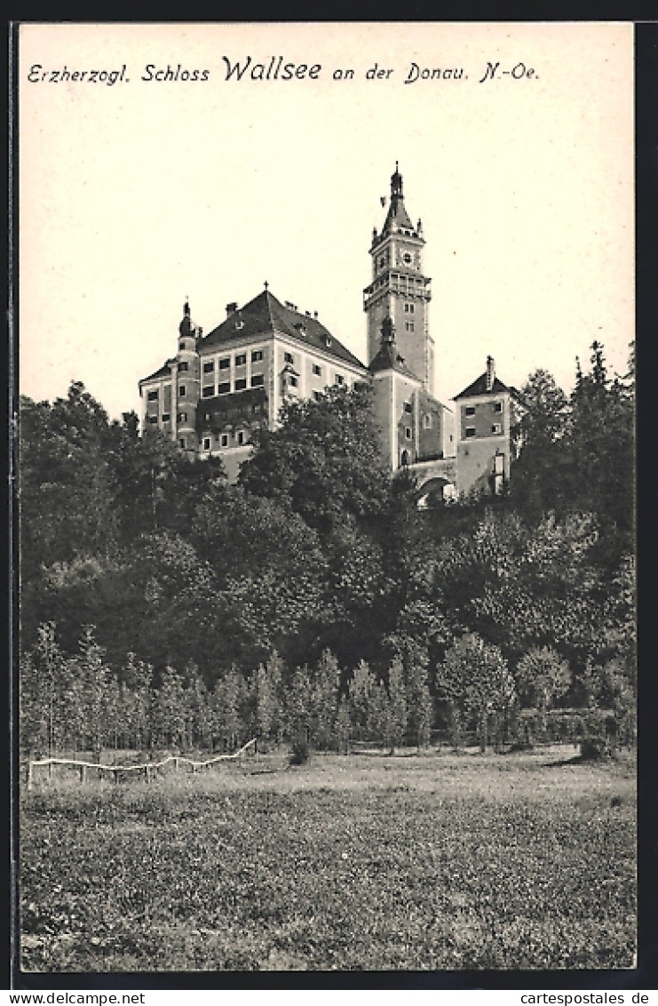 AK Wallsee An Der Donau, Erzherzogliches Schloss Wallsee  - Altri & Non Classificati