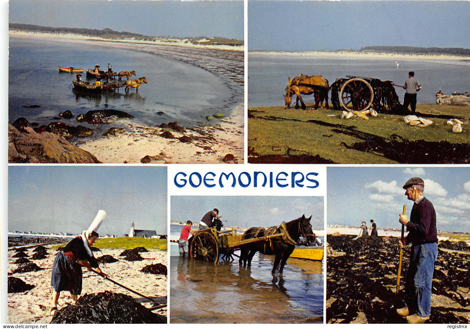 29-GOEMONIERS-N°1013-A/0441 - Other & Unclassified