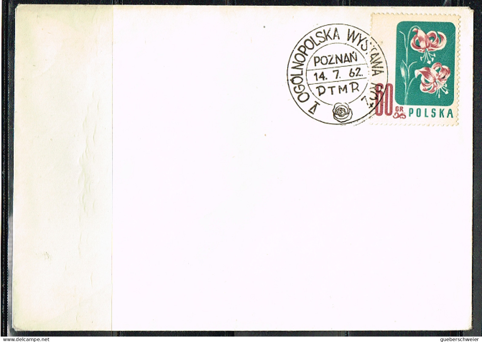 FLORA-L174 - POLOGNE Cachet Comm. Sur Lettre 1962 Affr. Fleur Se Lys - Storia Postale