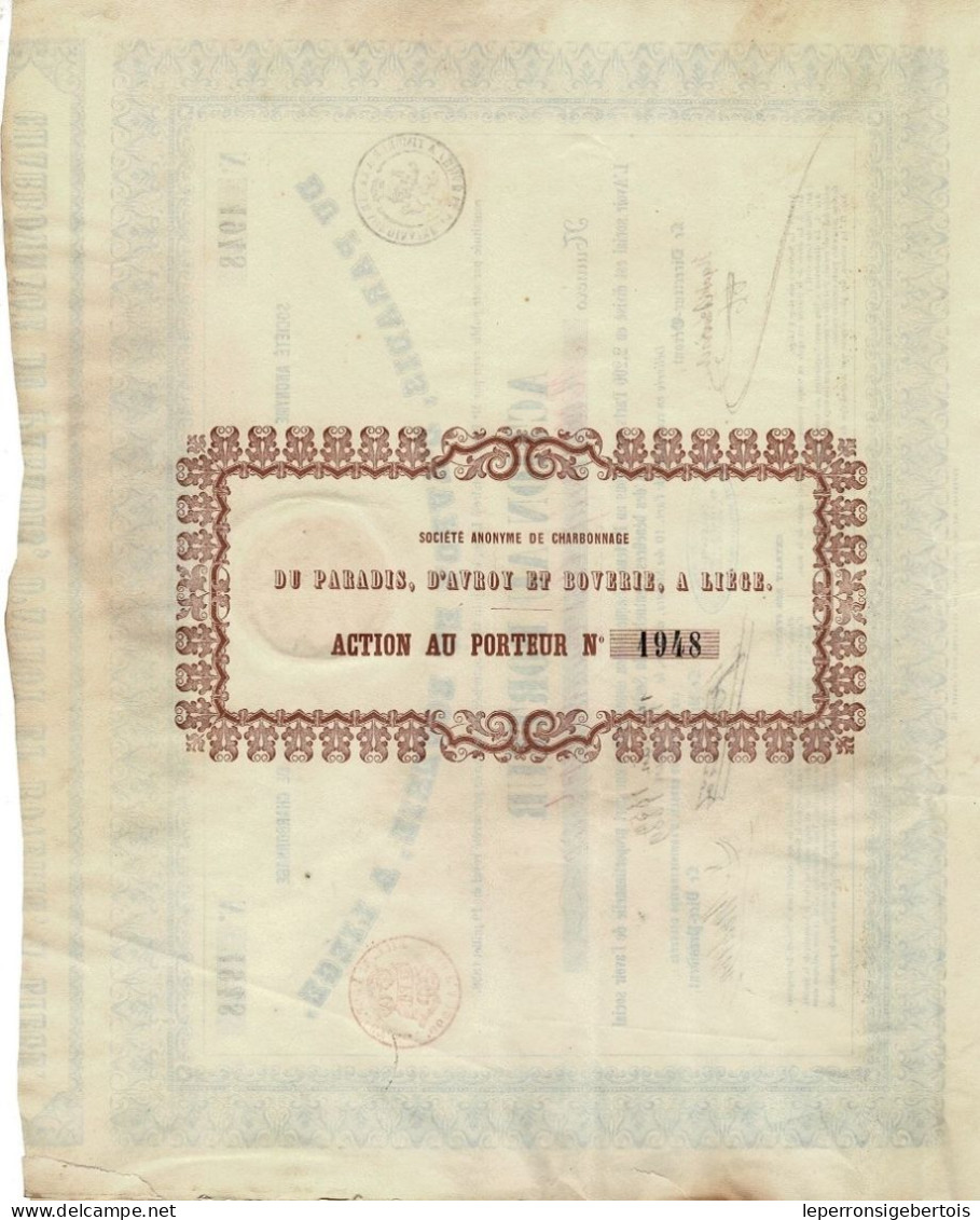 Titre De 1859 - Sté Anonyme De Charbonnage Du Paradis, D'Avroye Et Boverie, à Liège - - Mineral