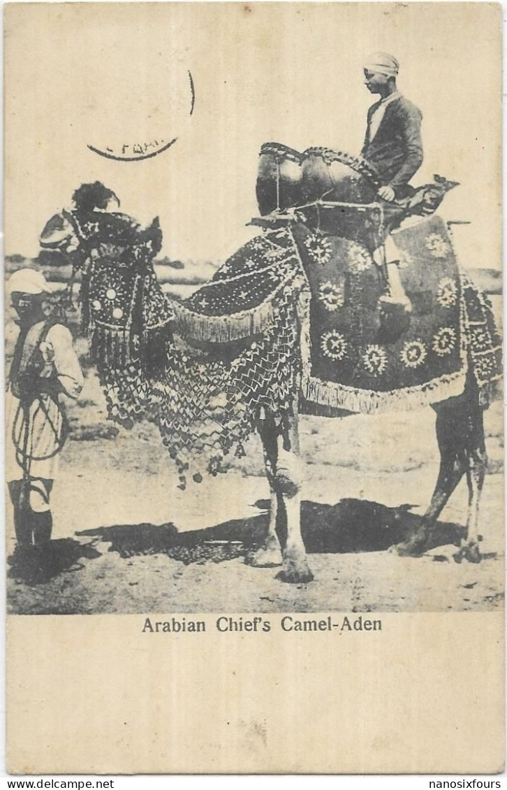 ASIE. YEMEN. ARABIAN CHIEF S CAMEL ADEN  CARTE ECRITE - Jemen