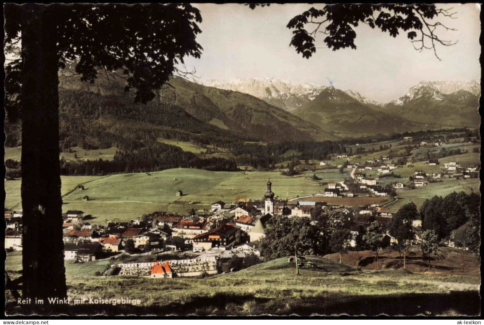 Ansichtskarte Reit Im Winkl Panorama-Ansicht Mit Kaisergebirge 1957 - Reit Im Winkl